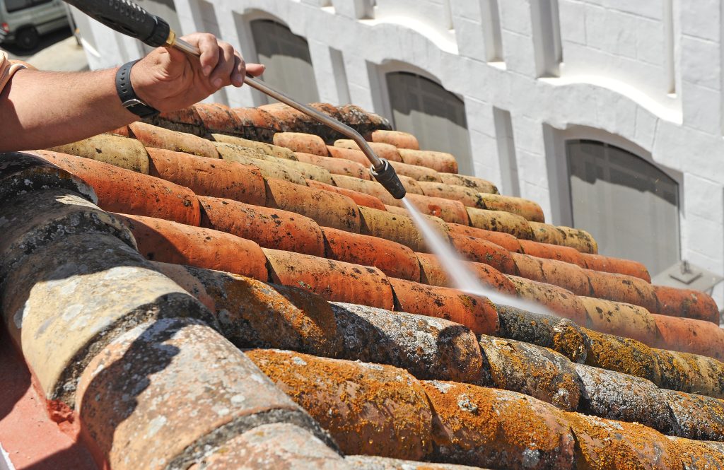 Cleaning mold from a roof